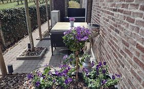 Hasbania Vakantiewoning