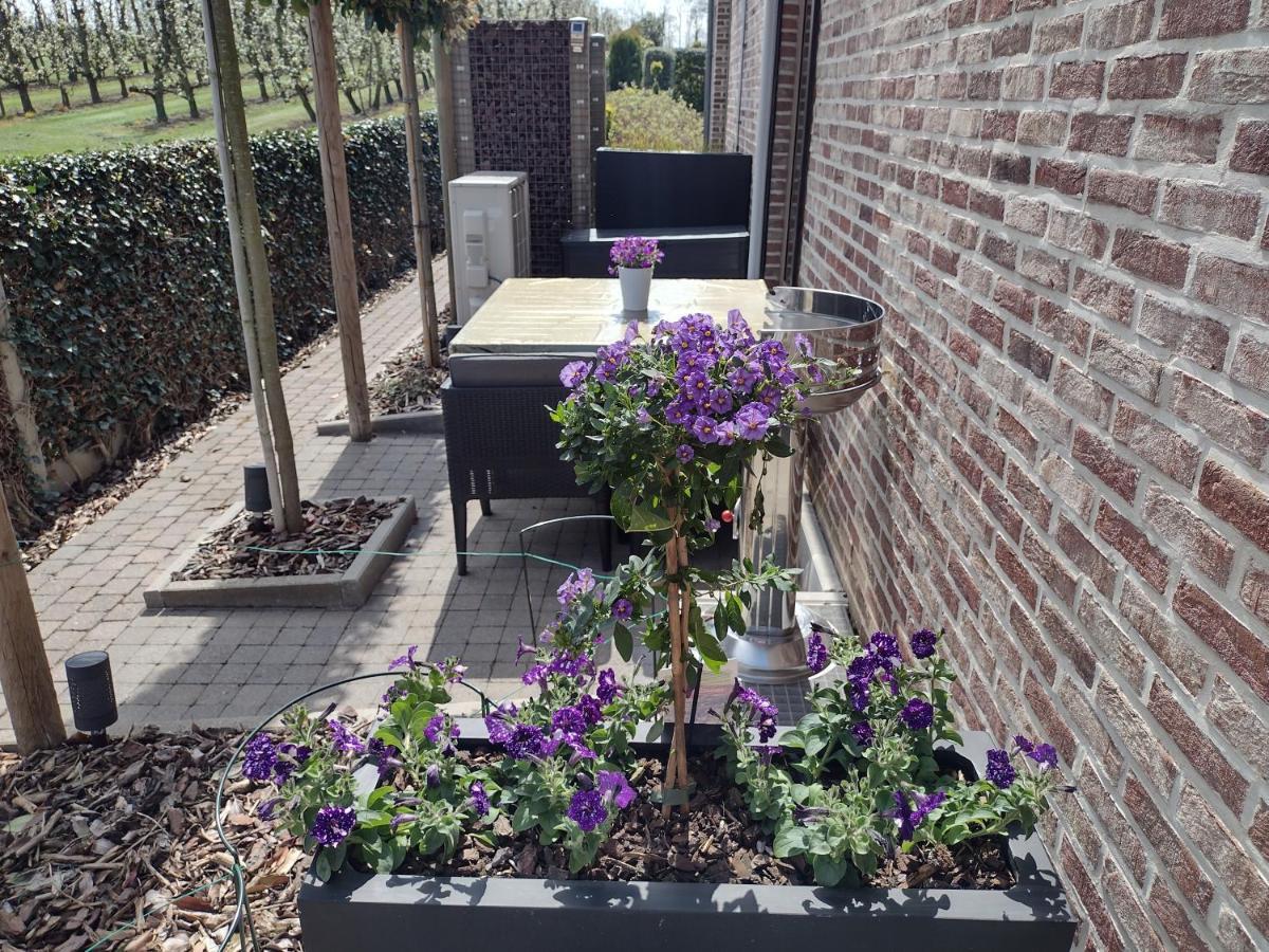Hasbania Vakantiewoning Gingelom Extérieur photo